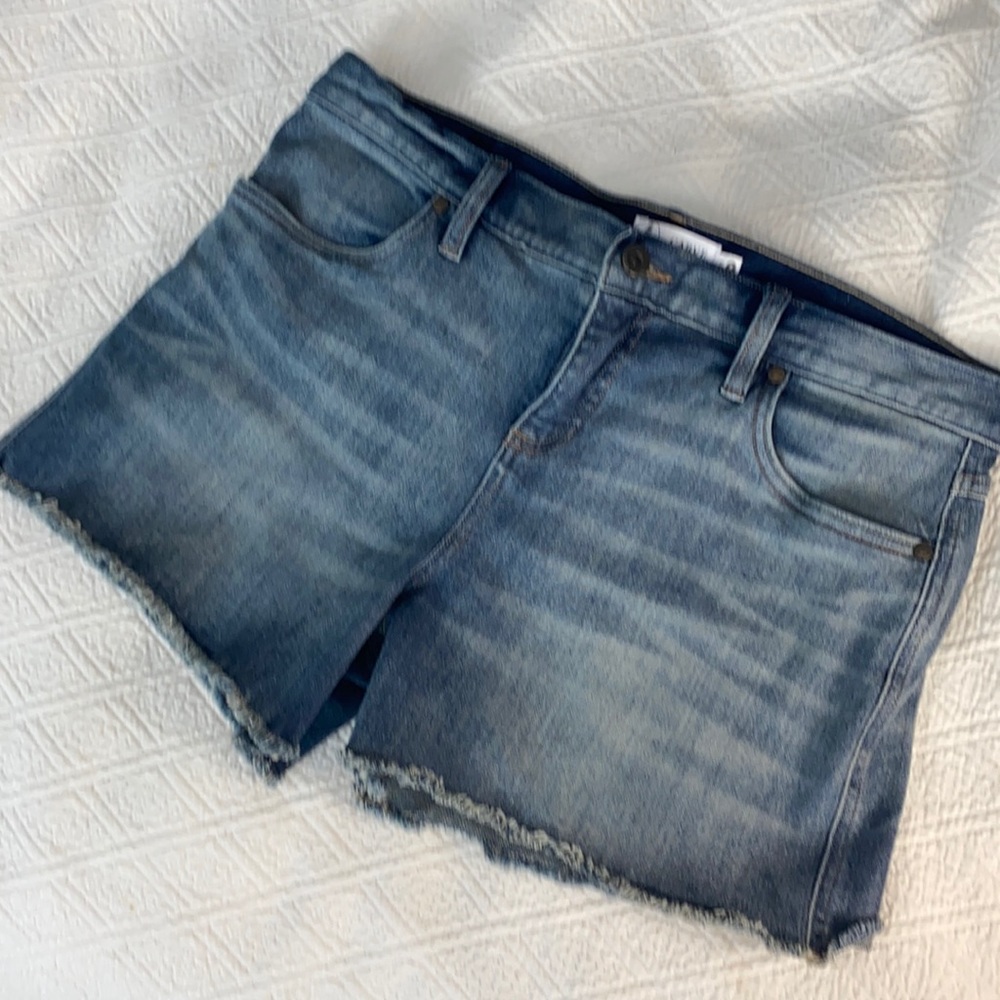 Carve Design Maui Favorite Fade Shorts 8